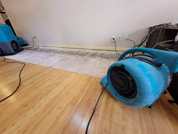 Professional Sewage Cleanup technician working in Saginaw, TX
